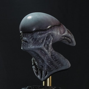 Könnte beinhalten: Eine detaillierte graue und violette Alien-Büsten-Skulptur mit einer strukturierten Oberfläche. Die Büste ist auf einem goldenen Sockel und einem schwarzen Steinsockel montiert.