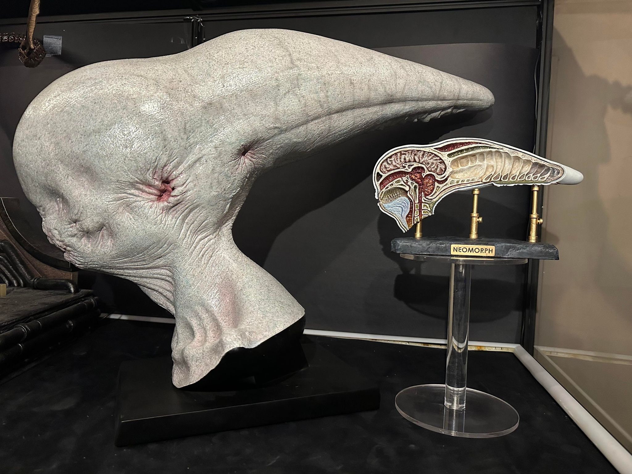 Alien covenant- Dissected neomorph head, David's Lab - Etsy 日本