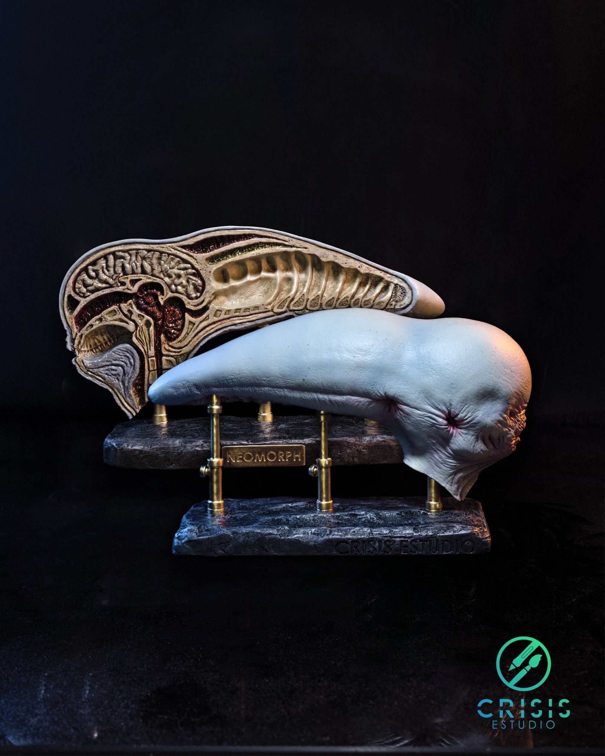 Alien Covenant- Dissected Neomorph Head, David's Lab - Etsy