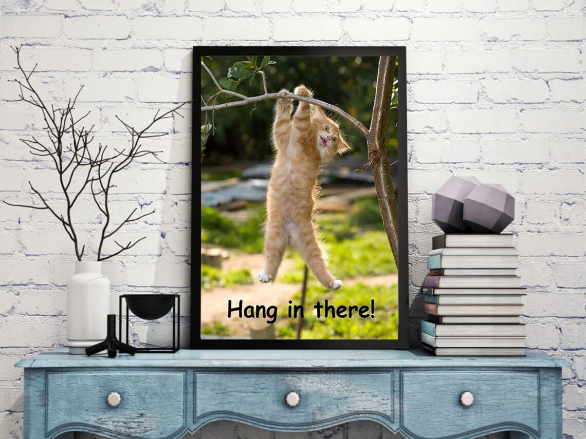 Hang in There Cat Poster Gift For Animals Lovers Home | Etsy