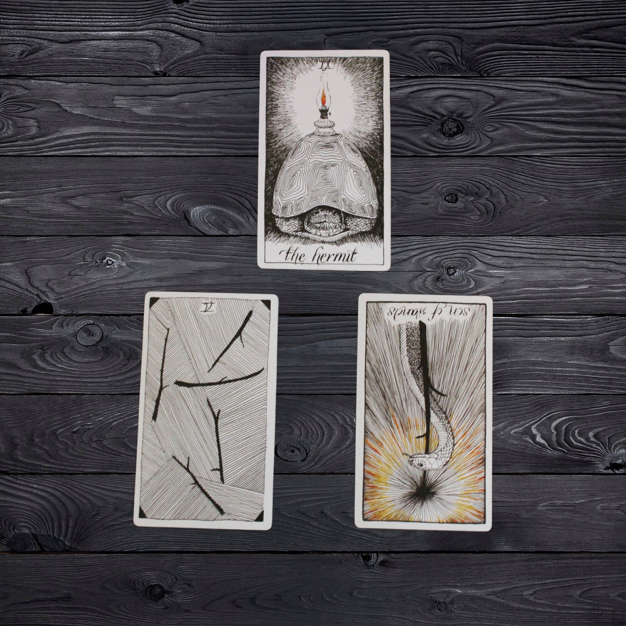 3 Card Spread Tarot Reading - Etsy