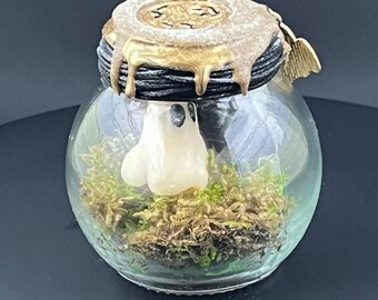 Grim Ghost Jar | Glow In The Dark Ghost | Adopt A Ghost | Spooky Desk Decor | Halloween Ghost Jar | Ghost Terrarium Gift
