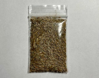 The Desk Lawn Seed Refill | Desk Decor | Desk Toy | Grow Grass | The Lawn Tools | Desk Lawn