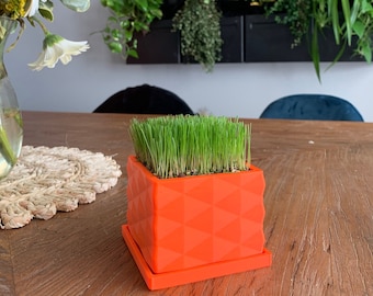 The Desk Lawn Mini | With Dirt and Seed | Indoor Planter | Gifts for Men | Father’s Day | Desk Decor | Desk Toy | The Lawn Tools
