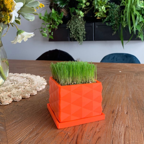 The Desk Lawn Mini | With Dirt and Seed | Indoor Planter | Gifts for Men | Father’s Day | Desk Decor | Desk Toy | The Lawn Tools