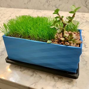 The Desk Lawn | With Dirt and Seed | Indoor Planter | Gifts for Men | Father’s Day | Desk Decor | Desk Toy | Grow Grass | The Lawn Tools