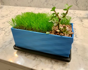 The Desk Lawn | With Dirt and Seed | Indoor Planter | Gifts for Men | Father’s Day | Desk Decor | Desk Toy | Grow Grass | The Lawn Tools