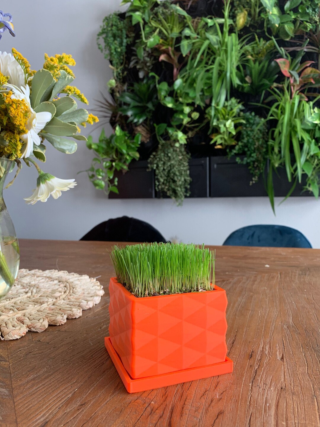 The Desk Lawn Mini With Dirt and Seed Indoor Planter Gifts for Men