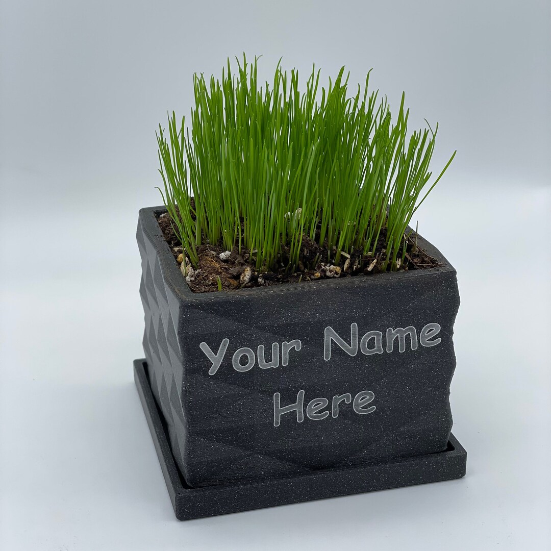 The Personalized Desk Lawn Mini With Dirt and Seed Indoor Planter Gifts
