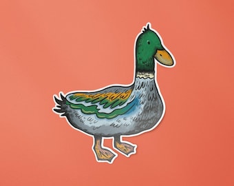 Mallard Duck Sticker - Waterproof, Weatherproof Vinyl Decal