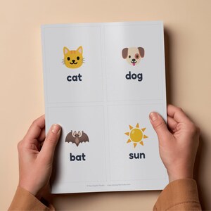 May include: A person holding a card with illustrations of a cat, dog, bat, and sun. Each image has the corresponding word below it in a dark blue font. The cat is yellow, the dog is brown and white, the bat is brown, and the sun is yellow.