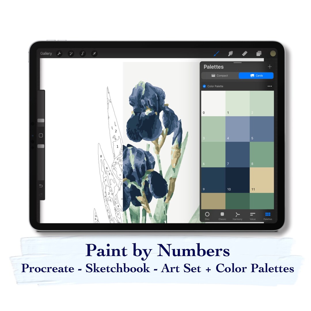 Paint by Number Kit Digital Procreate Sketchbook and Art Set Etsy