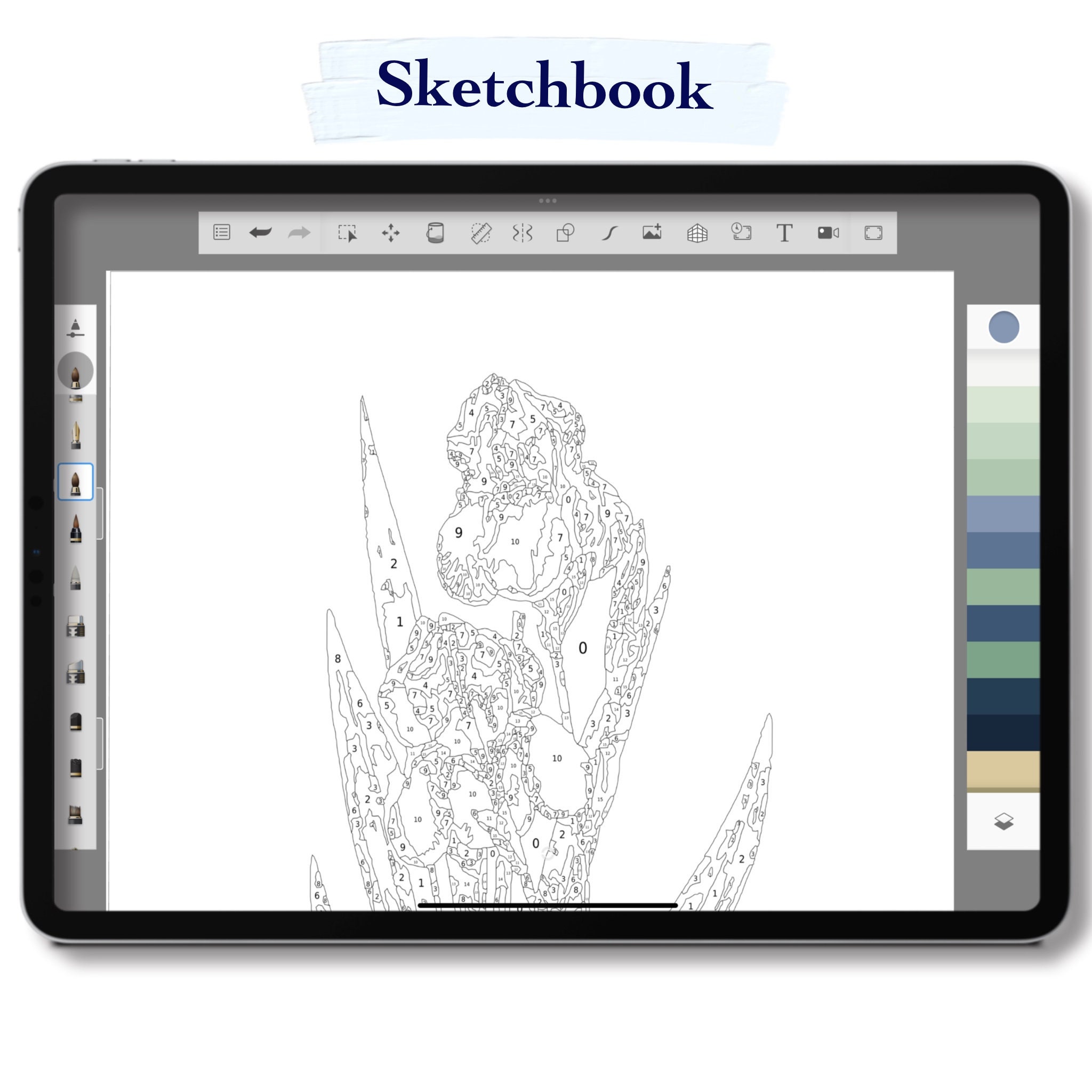 Paint by Number Kit Digital Procreate Sketchbook and Art Set Etsy