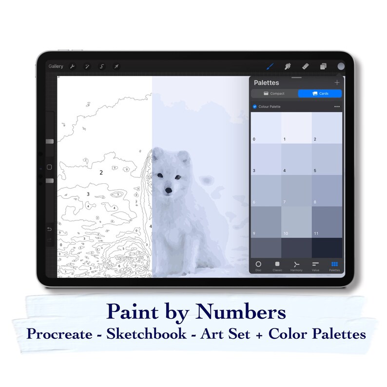Paint by Number Kit Digital Procreate Sketchbook and Art Set