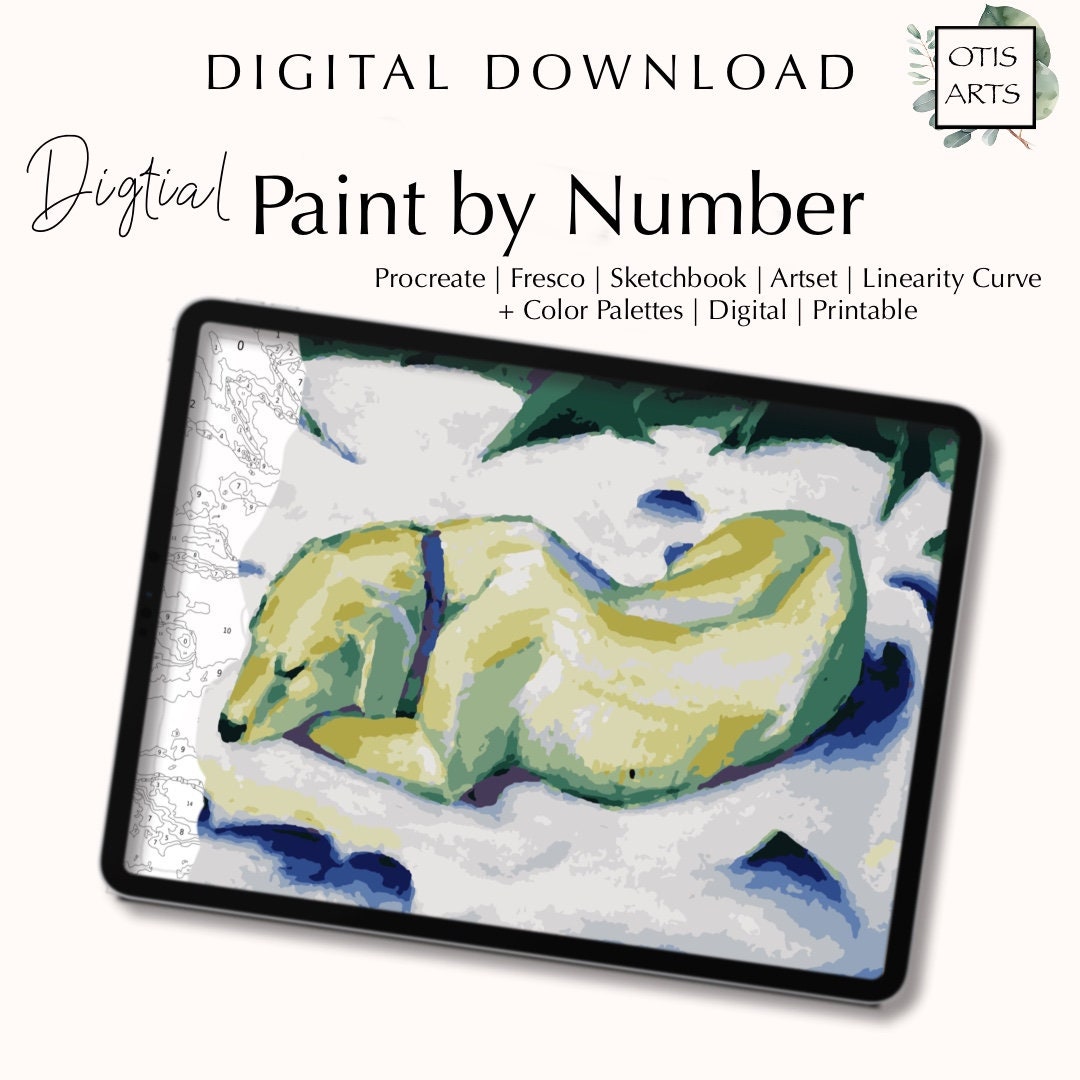 Paint by Number Kit Digital Procreate Fresco Sketchbook Etsy