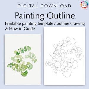 Puccoon plant outline drawing, PDF Digital Download for Coloring or Painting