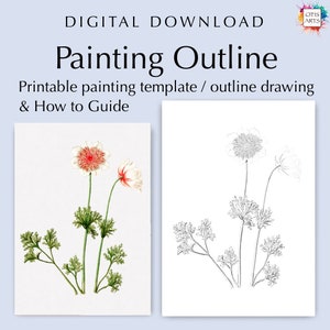 Anemone outline drawing, PDF Digital Download for Coloring or Painting