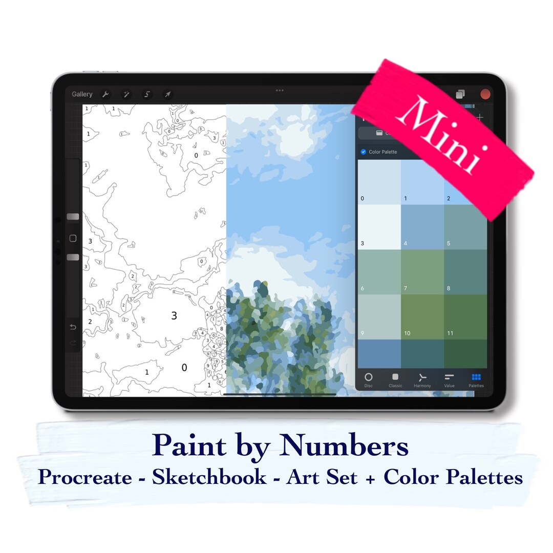 Paint by Number Kit Digital MINI Procreate Sketchbook and Etsy