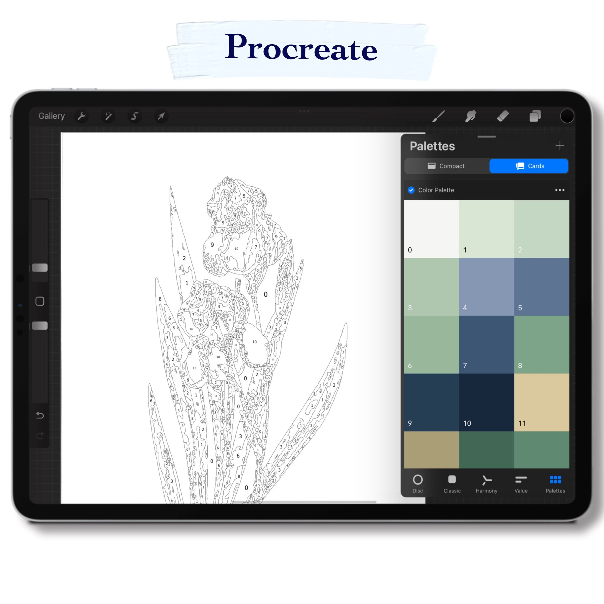 Paint by Number Kit Digital Procreate Sketchbook and Art Set Etsy