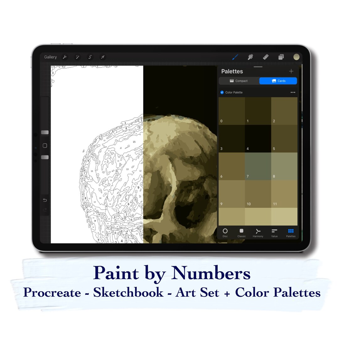 Paint by Number Kit Digital, Procreate, Sketchbook and Art Set ...