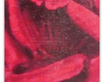 Bookmark: The Queen Elizabeth Rose