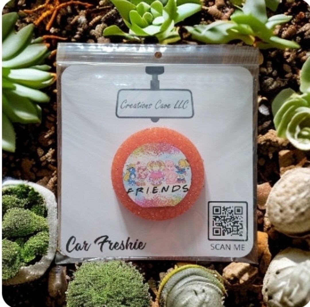 Freshie Bag Inserts Etsy