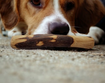 Palitos masticables de madera de olivo natural para perros - Puro entretenimiento canino - 3 tamaños