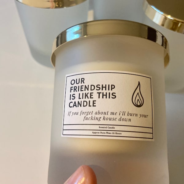 Funny Friendship Candle, our friendship is like this candle, forget about me and I'll burn your house down