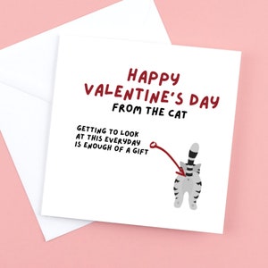 Happy Valentines Day von der Katze