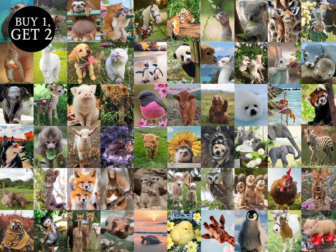 Cute Animal Aesthetic Wall Collage Kit 60pcs, Instant Download, Kid
