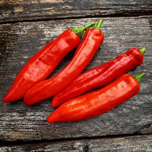 Op de afbeelding: Vier felrode chilipepers met groene stelen liggen op een donker houten oppervlak. De pepers zijn lang en slank, met een glanzend uiterlijk, wat duidt op versheid. De afbeelding is goed belicht en benadrukt de kleur en textuur van de pepers.
