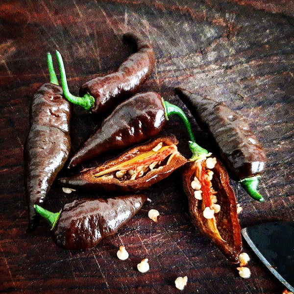 Dorset Naga Chocolate (10 seeds)