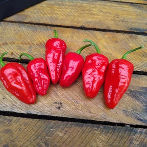 Puede incluir: Seis pimientos rojos vibrantes con tallos verdes se colocan sobre una superficie de madera rústica. Los pimientos tienen un aspecto brillante, lo que sugiere frescura. Las tablas de madera proporcionan un fondo natural y texturizado, realzando el color vivo de los pimientos.