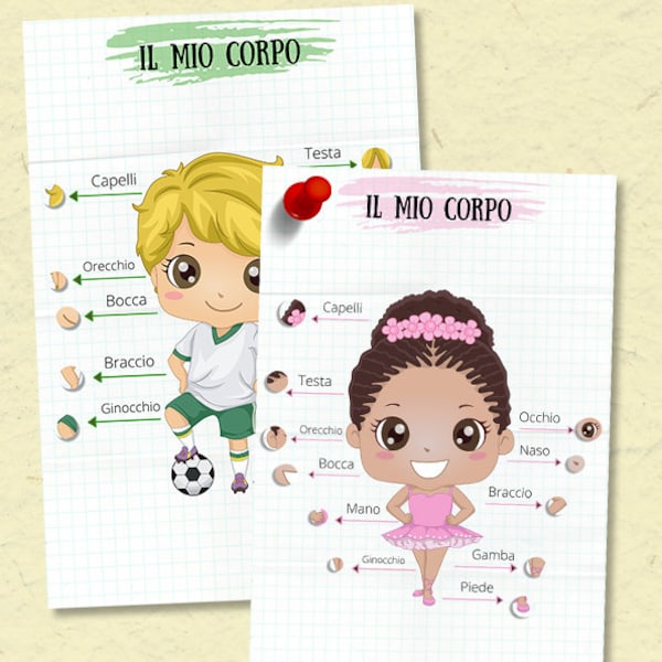 Body Parts Chart in Italian Digital Download, Il Corpo Umano, Pre-school Chart, Kids Chart, Toddler Chart, Montessori