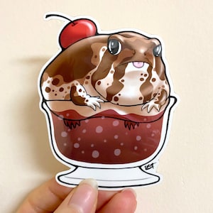 Transparent Sundae Rain Frog Sticker