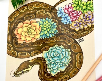 Ball Python with Succulents Print