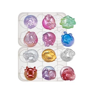 CraftyMemorygifts Zodiac Signs resin mold