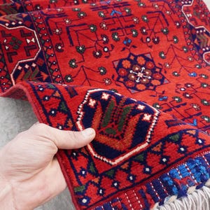 May include: A red, blue, and green patterned rug with a fringe border. The rug has a traditional design with geometric shapes and floral motifs.
