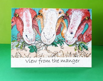 Christmas Card with goats, Macmillan cancer Christmas card, View from the Manger, Fun Christmas card, Funny Nativity scene card, Goat card