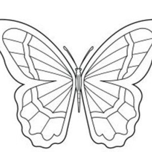 Puede incluir: Un dibujo lineal en blanco y negro de una mariposa. Las alas de la mariposa son sim&eacute;tricas, con patrones detallados y secciones segmentadas. El cuerpo y las antenas tambi&eacute;n est&aacute;n claramente delineados.