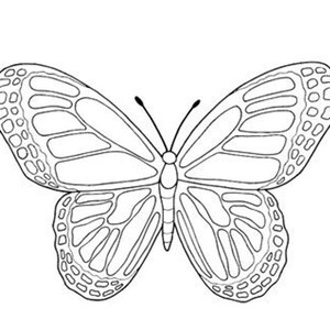 Puede incluir: Ilustraci&oacute;n detallada en blanco y negro de una mariposa. Las alas de la mariposa tienen un dise&ntilde;o intrincado con l&iacute;neas curvas y peque&ntilde;os c&iacute;rculos a lo largo de los bordes. Las antenas son finas y delicadas.