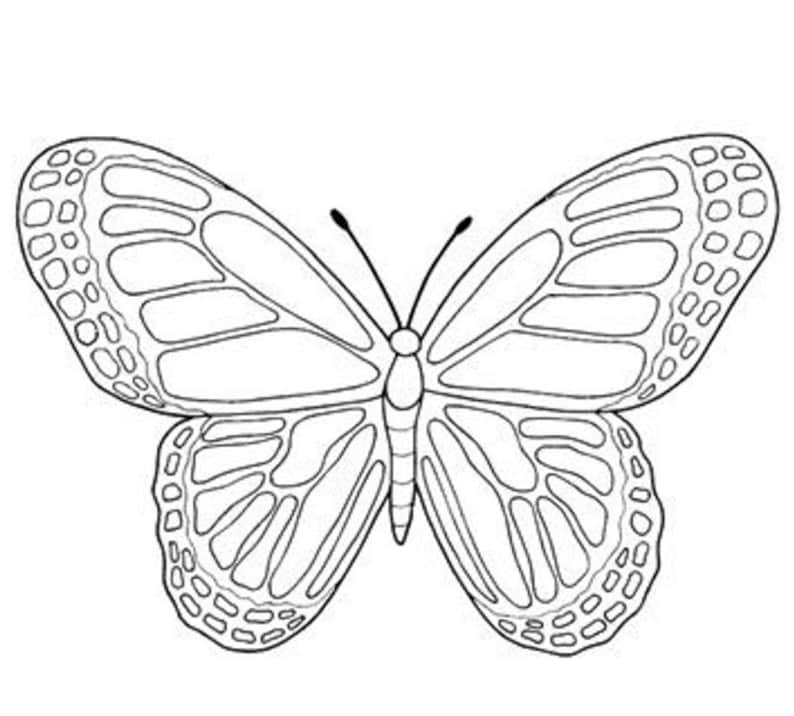 Puede incluir: Ilustraci&oacute;n detallada en blanco y negro de una mariposa. Las alas de la mariposa tienen un dise&ntilde;o intrincado con l&iacute;neas curvas y peque&ntilde;os c&iacute;rculos a lo largo de los bordes. Las antenas son finas y delicadas.