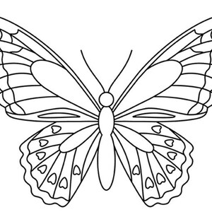Puede incluir: Ilustraci&oacute;n detallada en blanco y negro de una mariposa con las alas abiertas. Las alas de la mariposa est&aacute;n intrincadamente estampadas con l&iacute;neas curvas y detalles en forma de coraz&oacute;n. Las antenas son largas y finas.