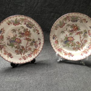 Peut inclure: Deux assiettes en porcelaine blanche avec des motifs floraux dans des tons de rose, rouge et vert. Les assiettes ont un bord doré et sont sur des supports d'exposition.