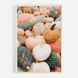 May include: A variety of gourds and pumpkins in various shades of green, orange, and white. The gourds and pumpkins are piled high in a basket, creating a colorful and festive display.