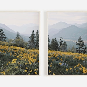 Mountain Wildflowers, Flower Print Set of 2, Washington Mountains, PNW Scenery, 2 Piece Print Set, Valley Below, Nature Photography