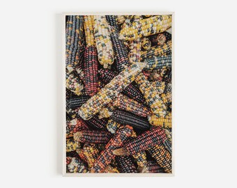 Impressão de colheita de milho indiano, decoração de outono de fazenda, foto colorida de milho, impressão de milho indiano, colheita de milho de fazenda, impressão de fazenda de milho