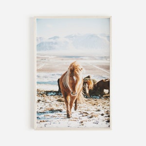 Verschneite Islandpferde, Pferdeherde Foto, Islandpferde zum ausdrucken, großes Pferd Poster, Island Wandkunst, druckbare Wandkunst