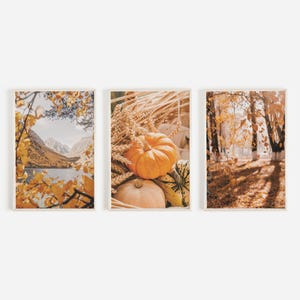 Herbst Natur Poster Set, Kürbis Kürbisse Poster, Berg Herbst See Landschaft, 3er-Set Prints, Rustikale Natur Dekoration, Herbst Fotografie
