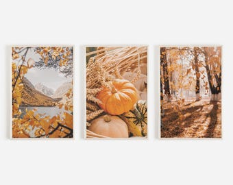 Fall In The Forest Print Set, Pumpkin Gourds Poster, Mountain Autumn Lake Scenery, Set of 3 Prints, Rustic Nature Decor, Fall Photography 3